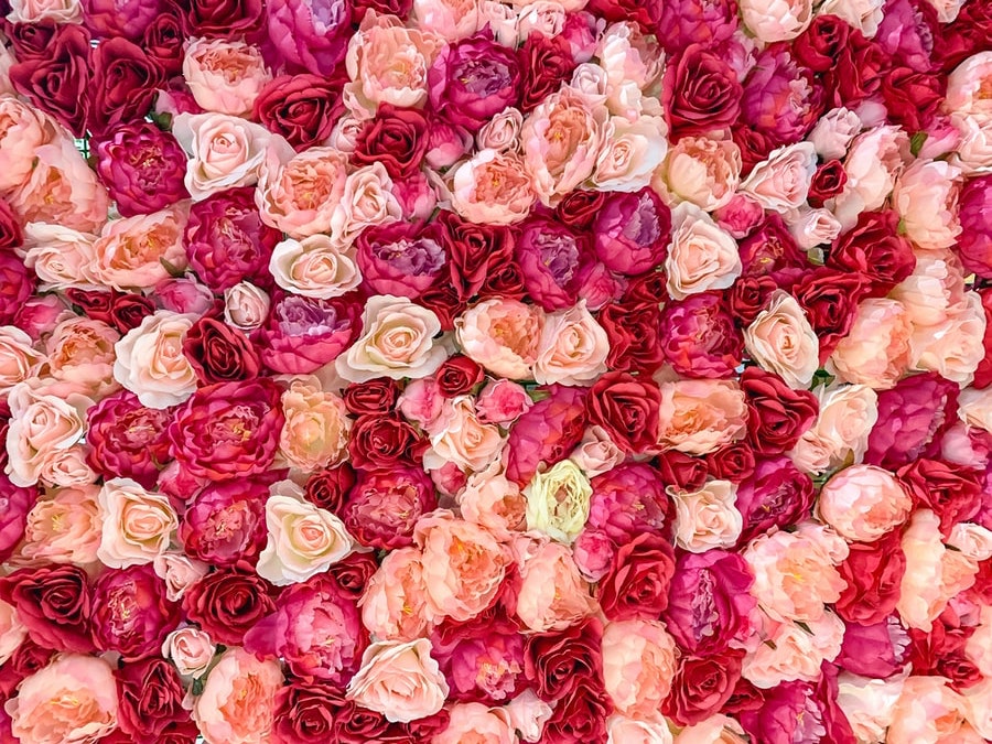 розы популярный цветок для подарка