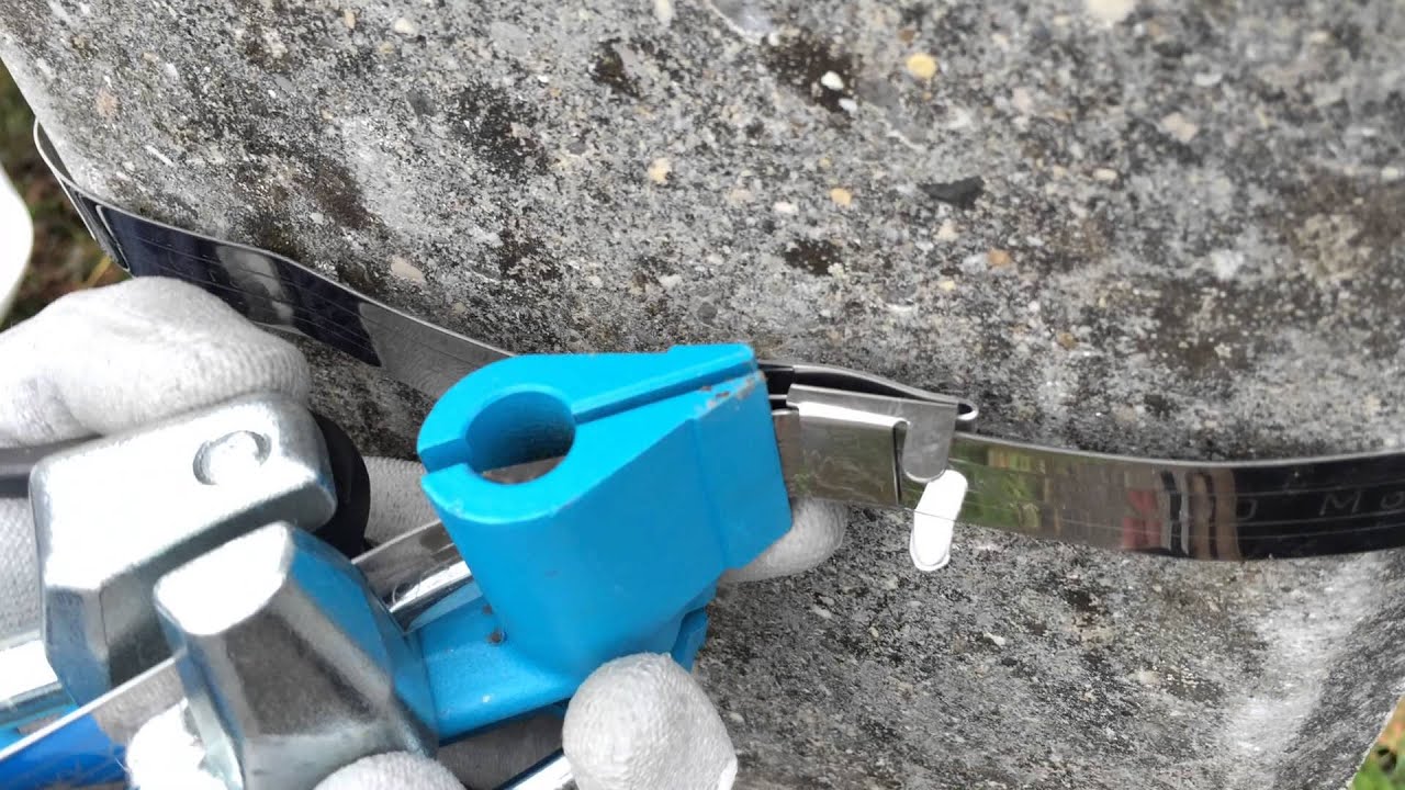 6203a25556d69.jpeg