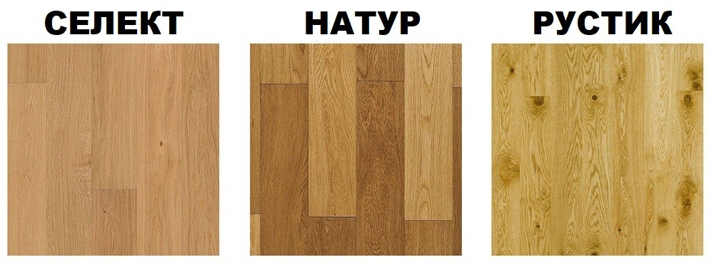 6315af3f5346c.jpeg