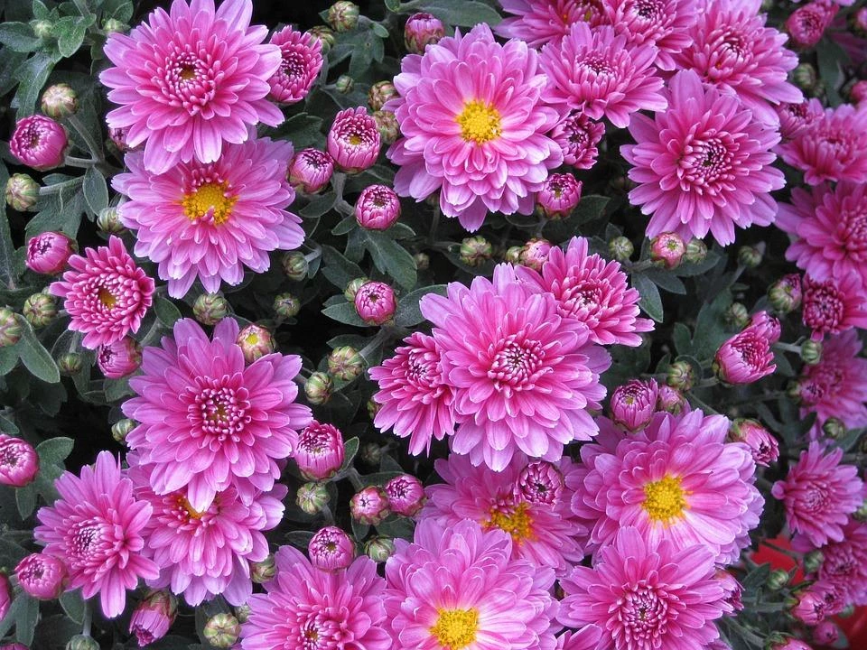 64633096ee39e.webp