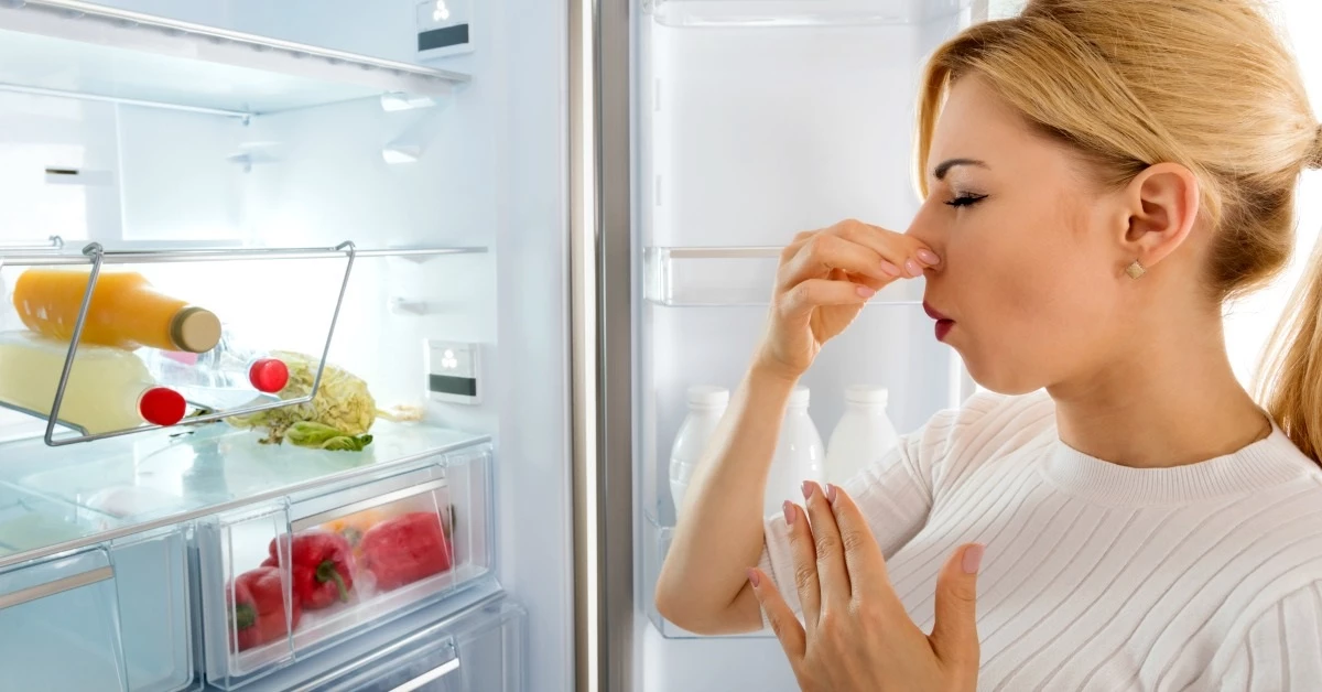 Неприятные запахи в холодильнике