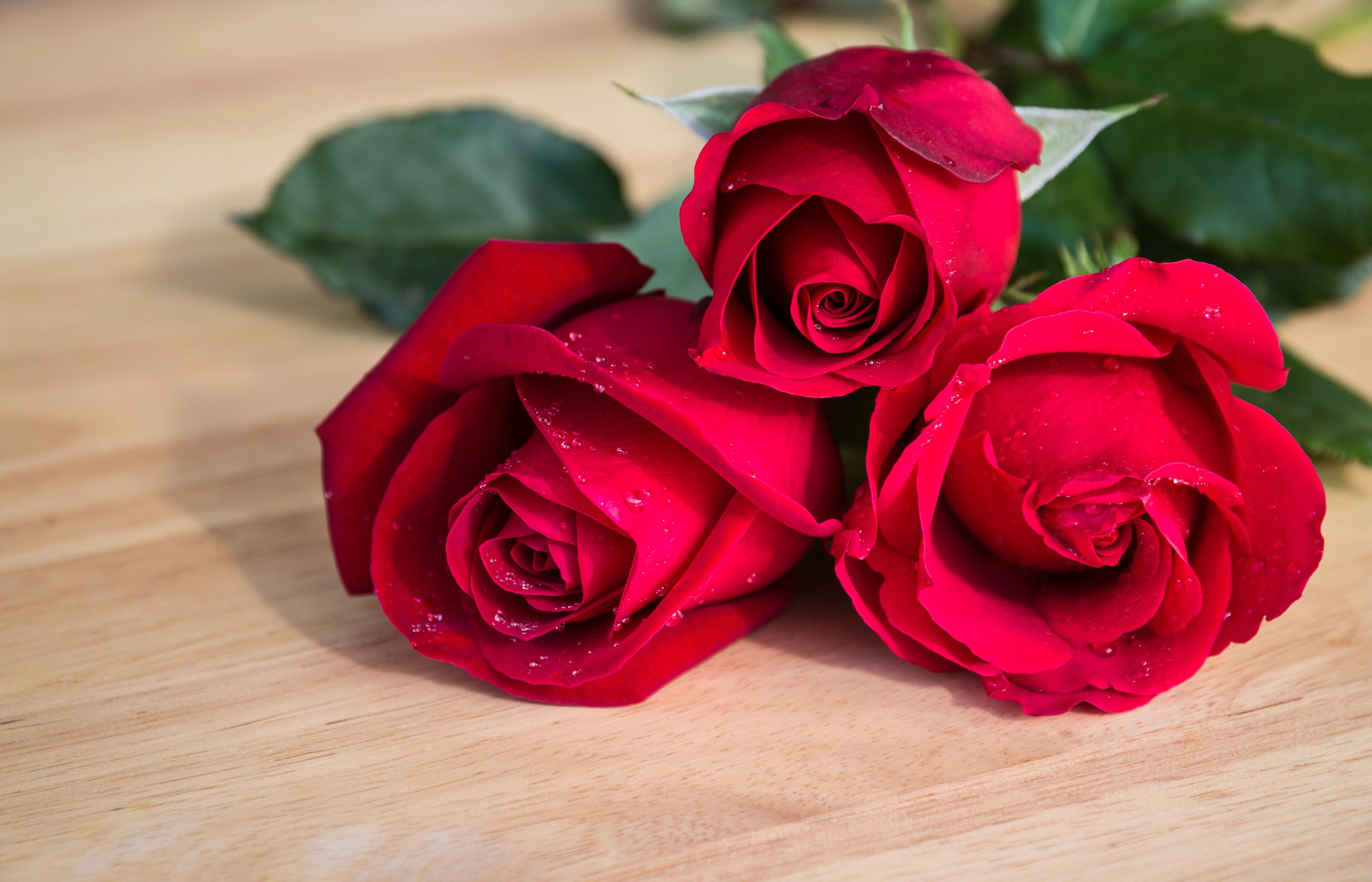 6509afa5519ad.webp