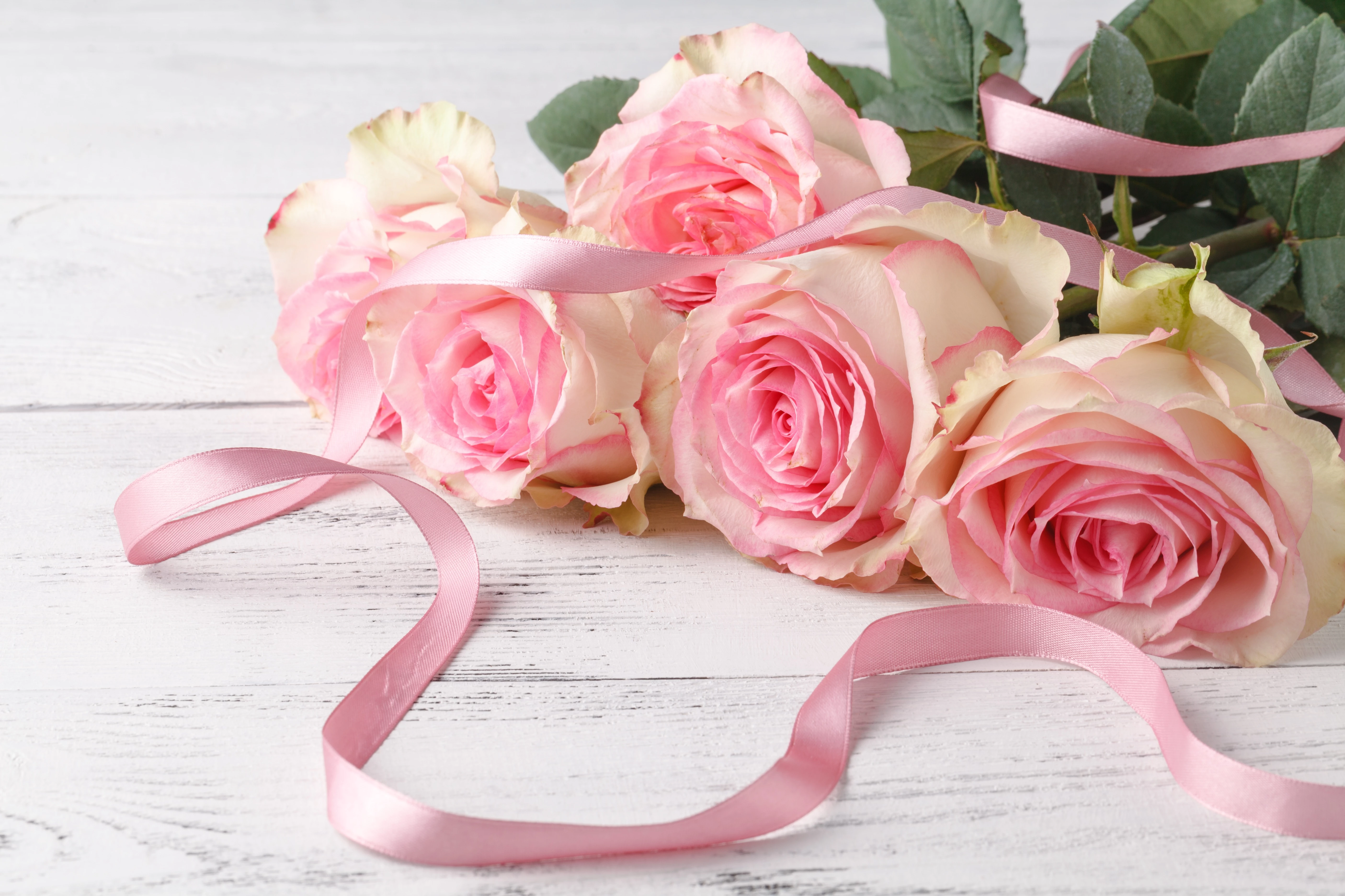 6509afbf86347.webp