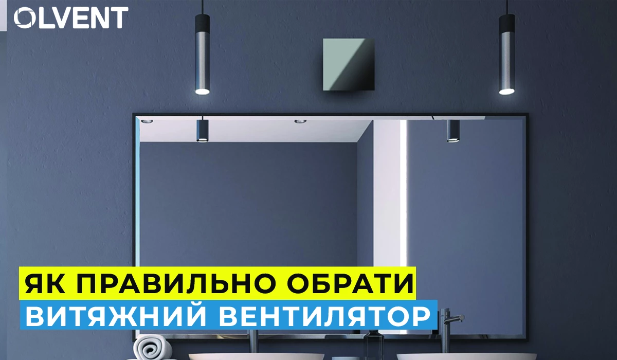 6526d80edce38.webp