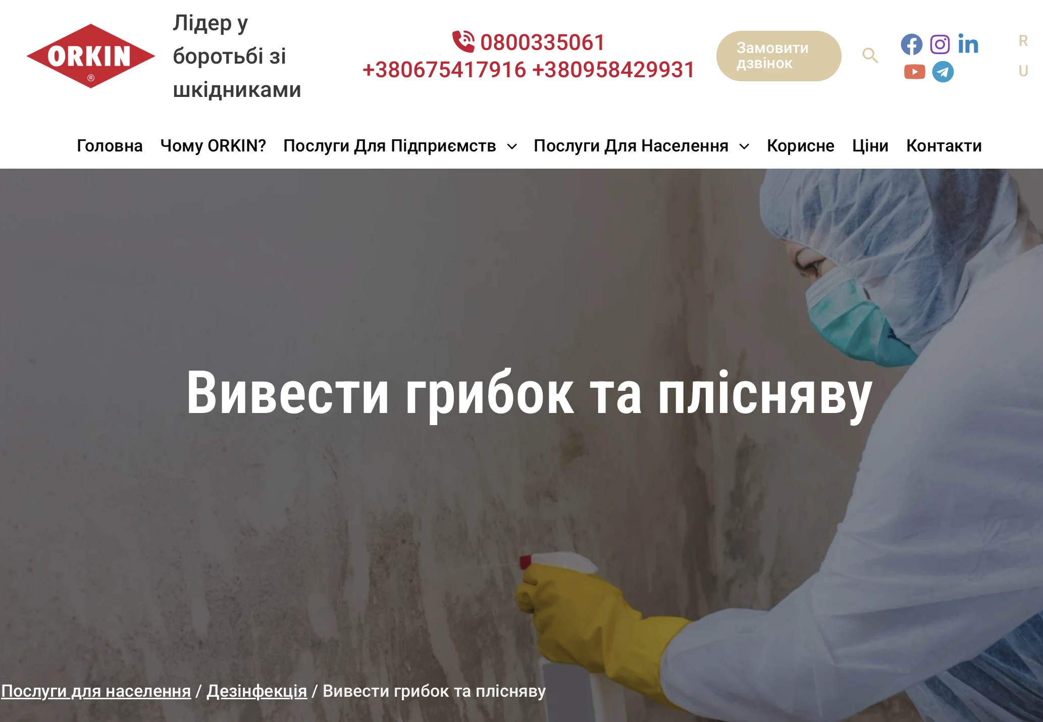65607360d7586.webp