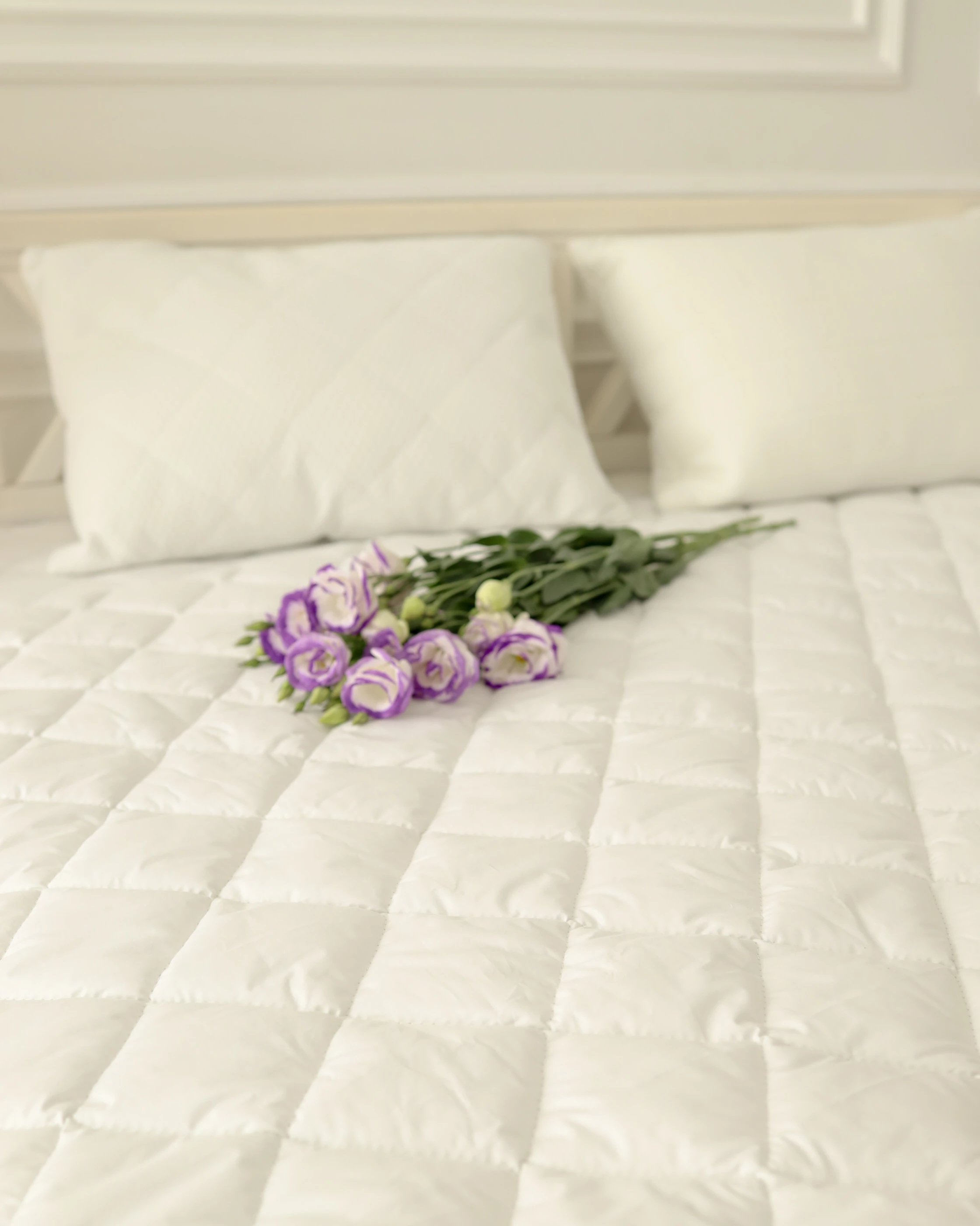 mebelsale.com.ua - великий вибір матраців на будь який смак!