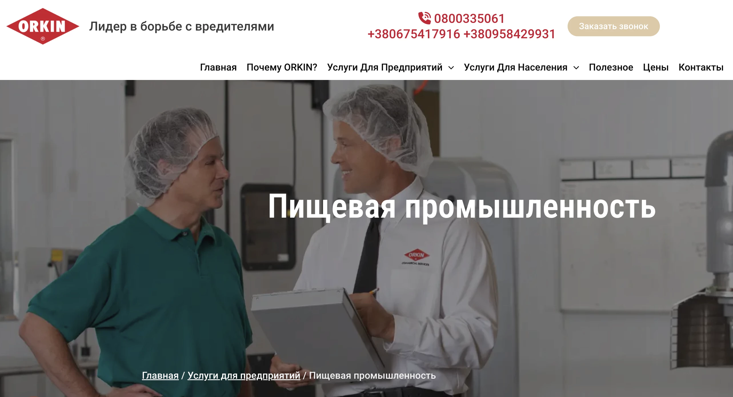 659c41e2ede3e.webp