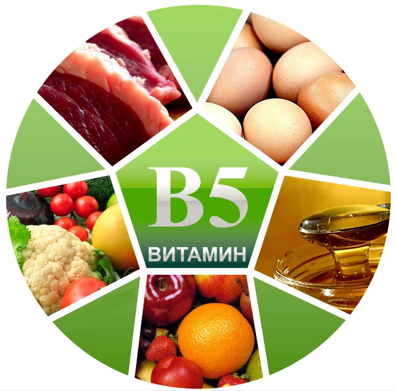 65aa29c909737.webp