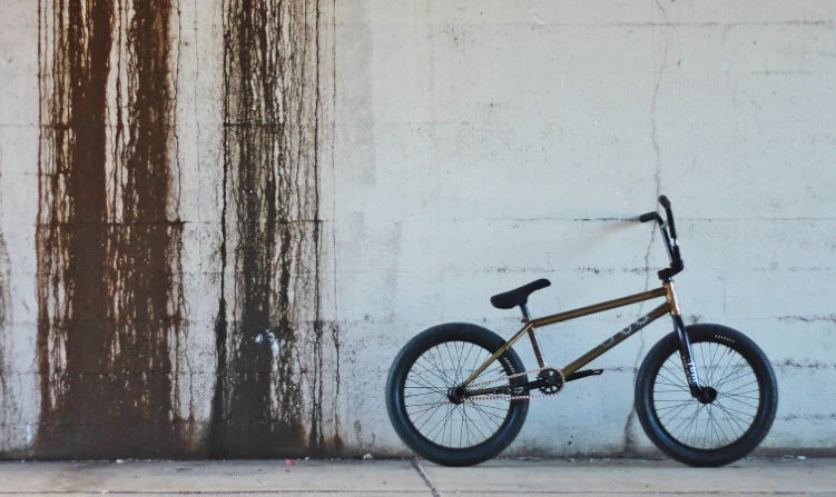 ��� ���������� ���������� BMX � �������