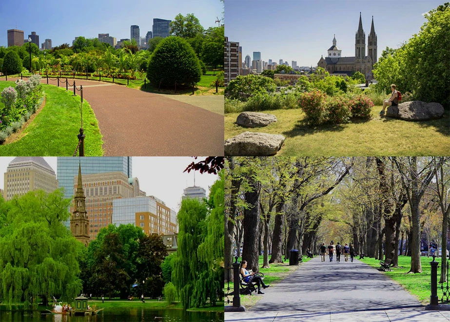 Picnic Amidst Boston's Green Oasis