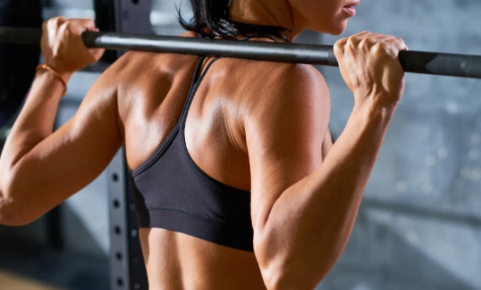 muscle building