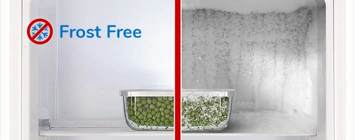 система Frost Free в морозилке