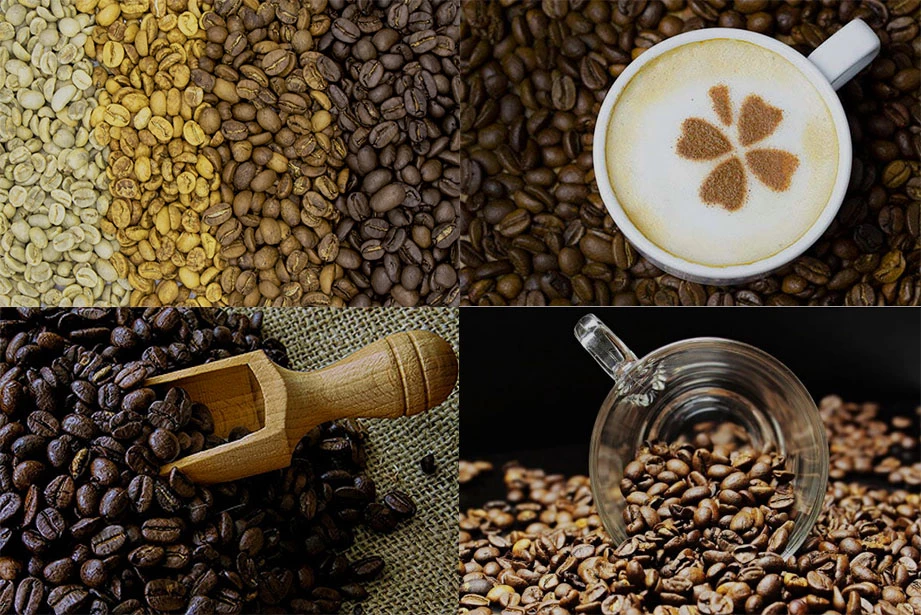 ������ ������������ ������� �����