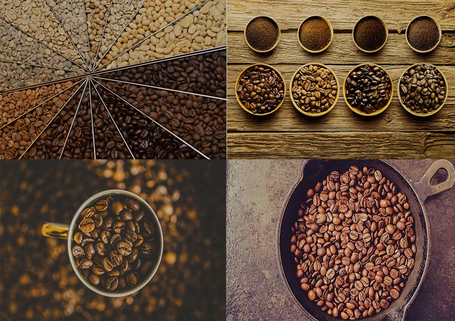 ����� ������� ������������ �� ���� ����