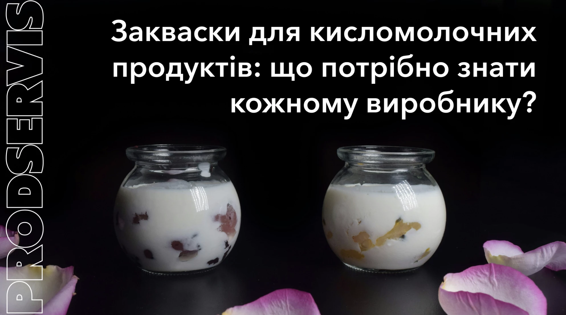6634775b5f80a.webp