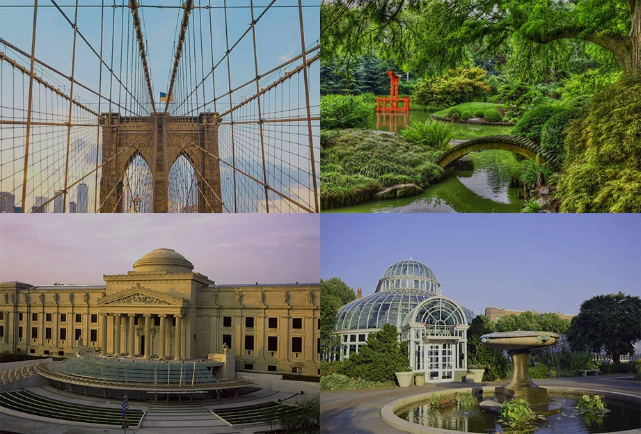 Brooklyn Bridge, Brooklyn Botanic Garden, Brooklyn Museu
