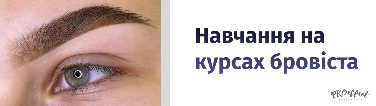 Навчання на курсах бровіста