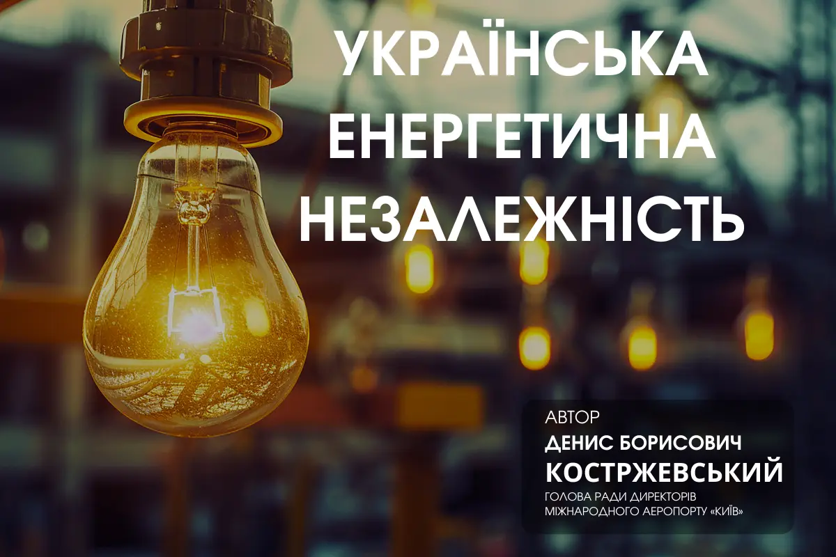 Співпраця держави та приватного інвестора Костржевський Денис