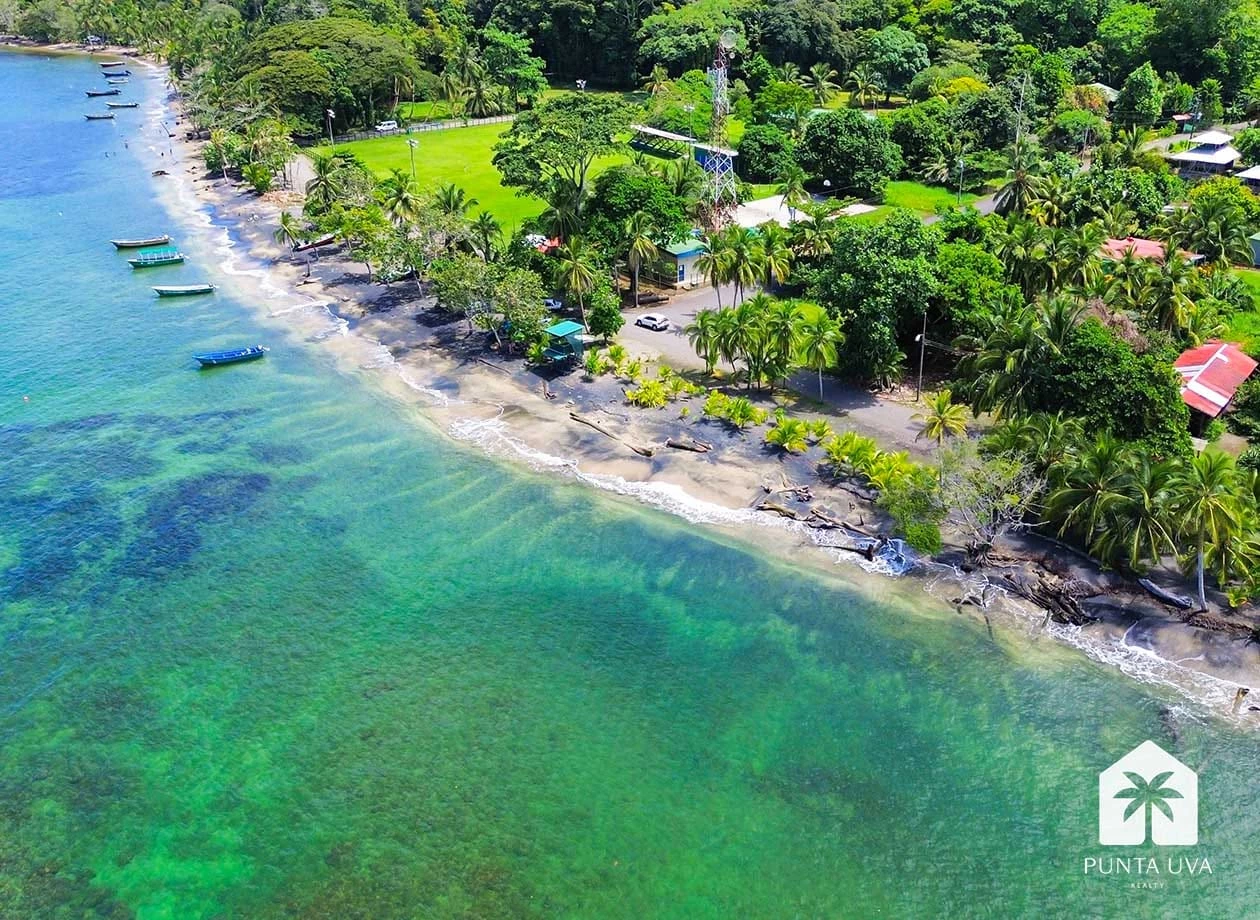 Eco-Living: The New Lifestyle Trend — Which Country Should You Choose