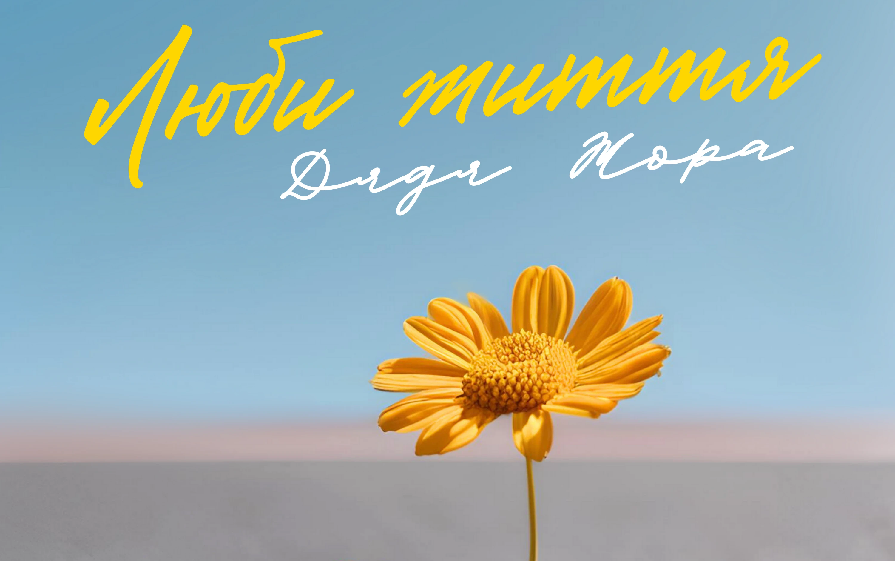 676c05f8063e8.webp