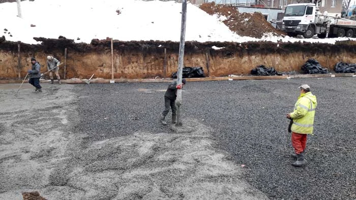 678501e09ade3.webp