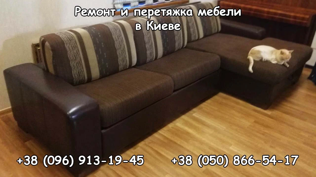 Перетяжка мебели как способ освежить интерьер Перетяжка мебели как способ освежить интерьер