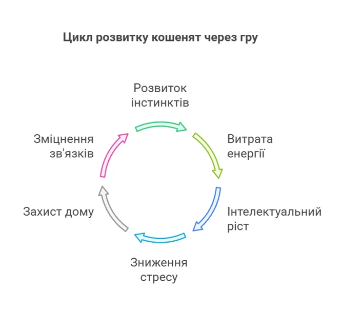 67a5f13cba94f.webp