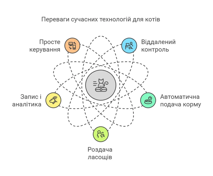 67b320cb82b8f.webp