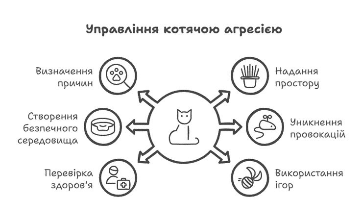 67b3213bedf2c.webp