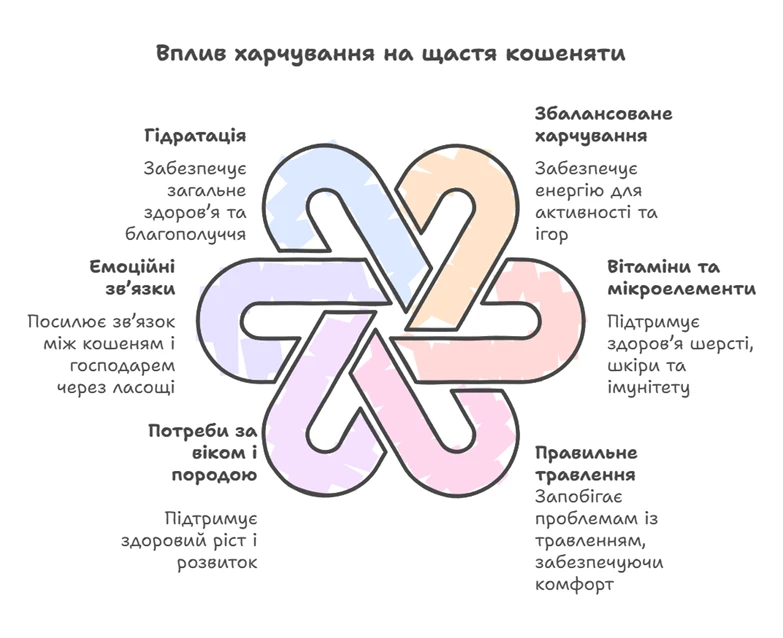 67b480d73eb47.webp