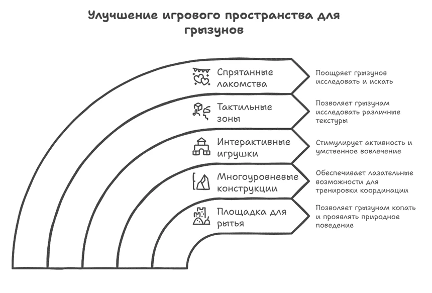 67b481a117cf3.webp