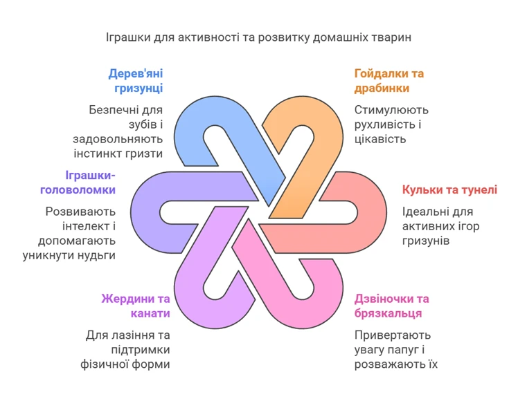 67b48237f233f.webp