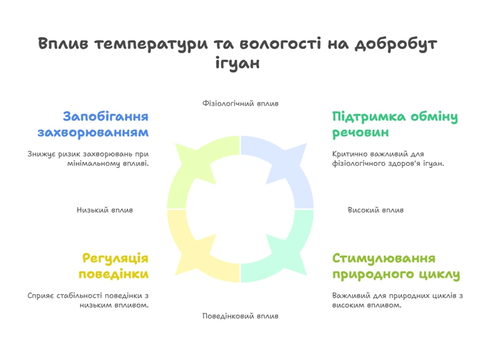 67b482a970550.webp