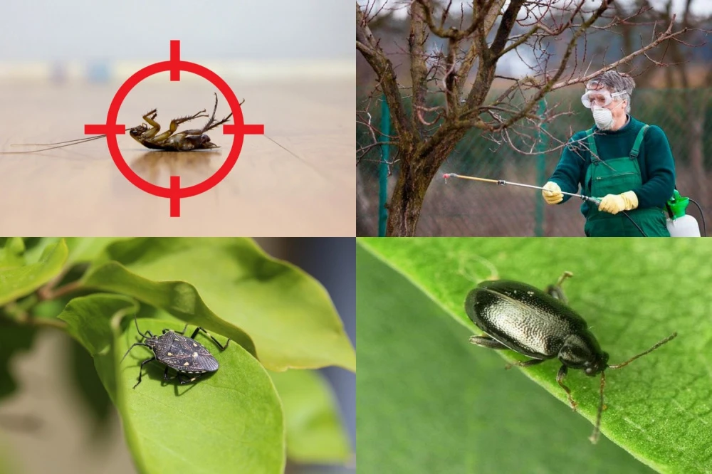 Зимова підготовка