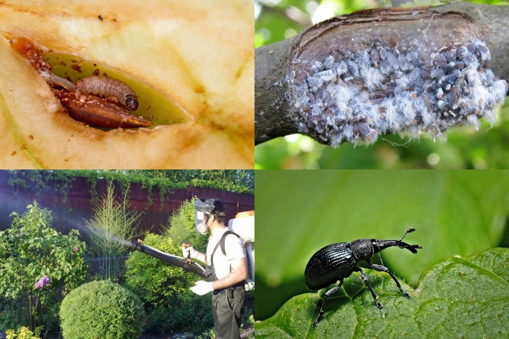 Весняні поради