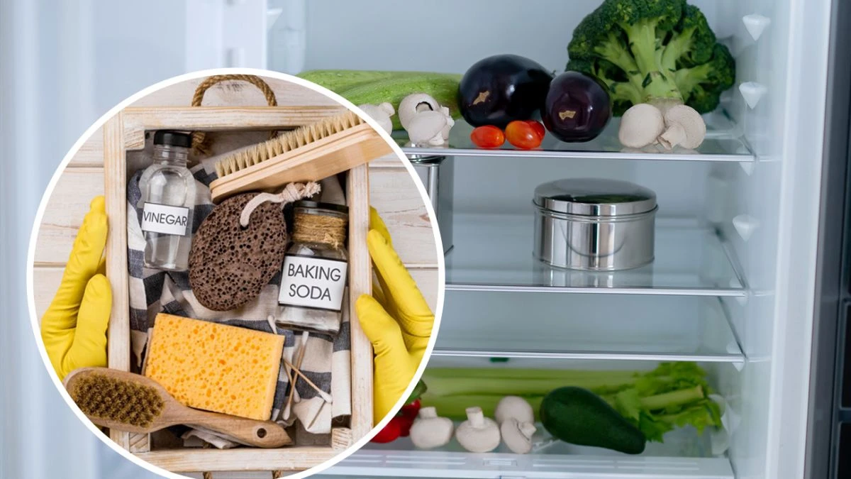 очистить холодильник после долгого простоя