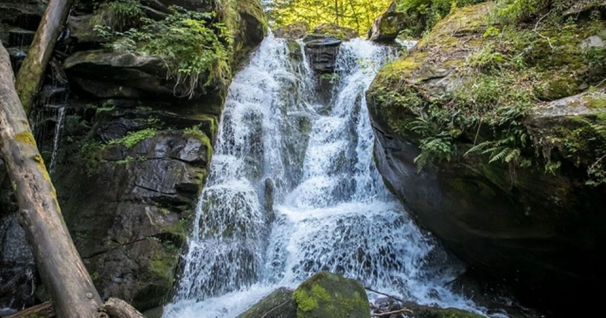 67c18ea58c774.webp