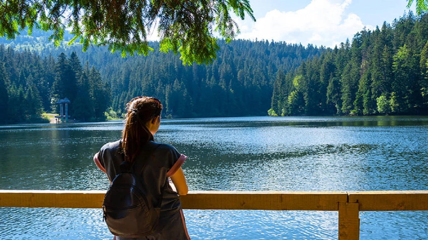 67c1bc3a72ce4.webp