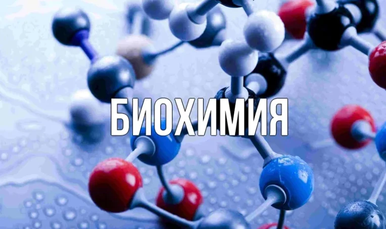 67cf1c5c5ab82.webp