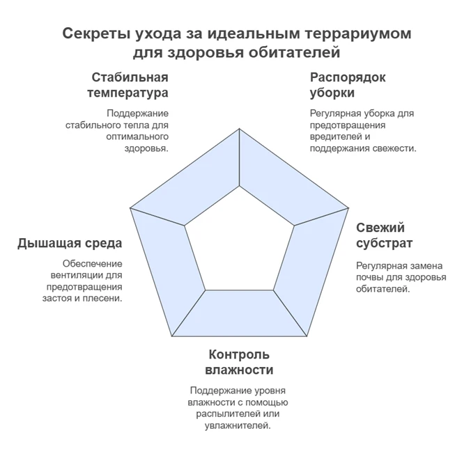 67d2c9ac7d158.webp