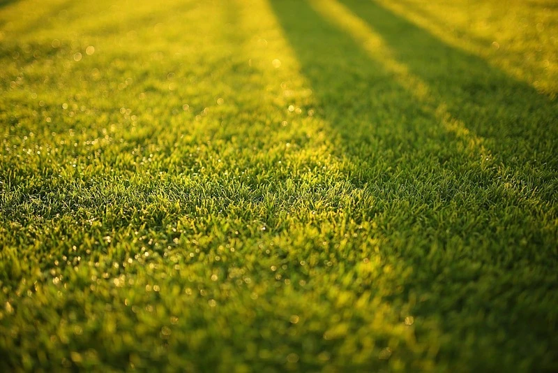 67d97bcdbc053.webp
