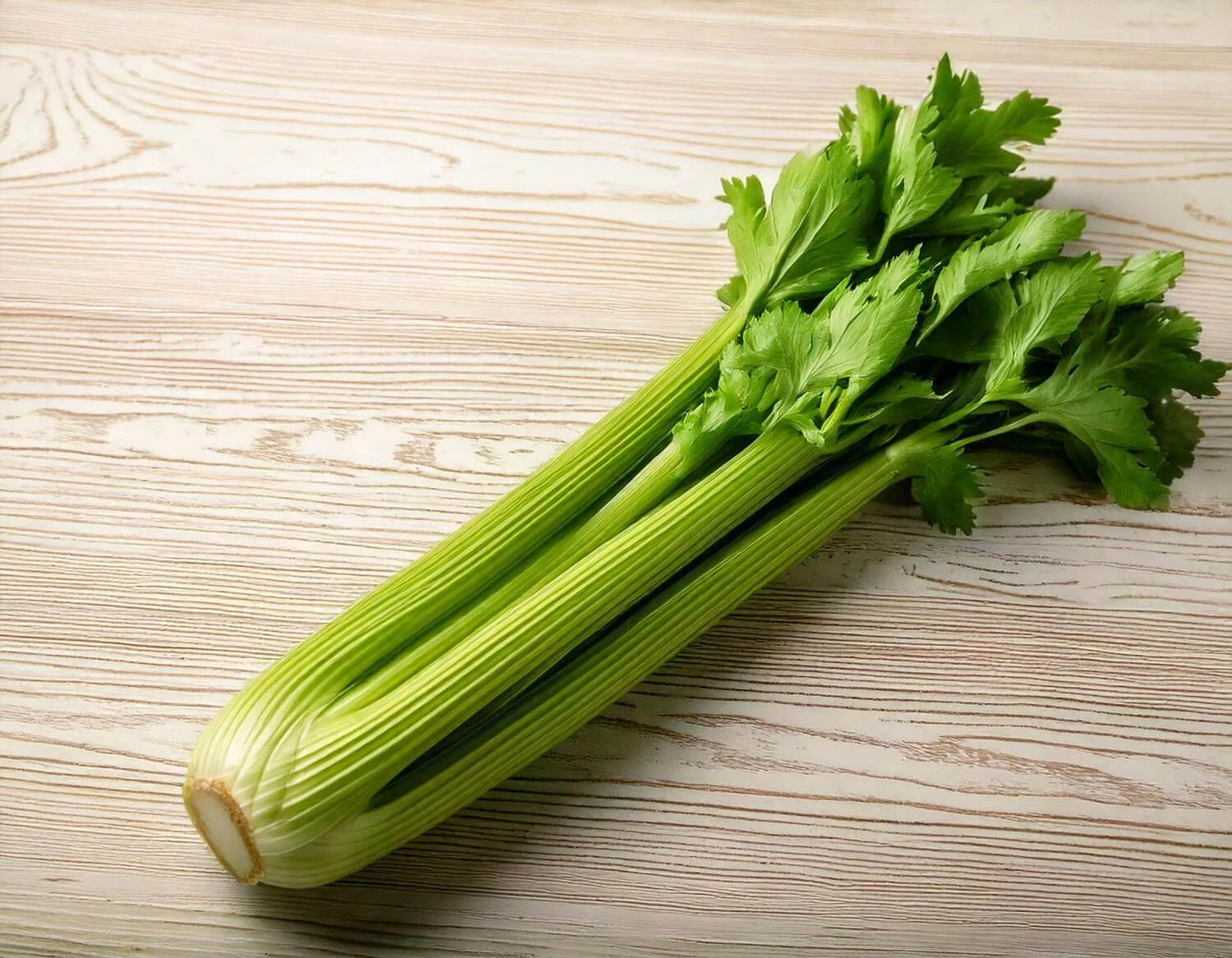 67e3de3692f38.webp