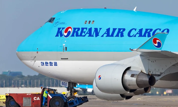 67e96ce824f01.webp