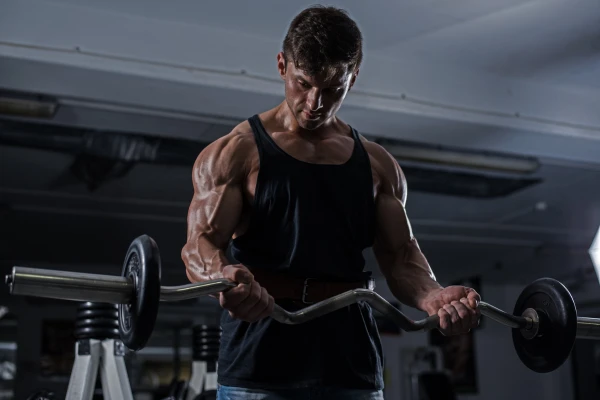 bodybuilder
