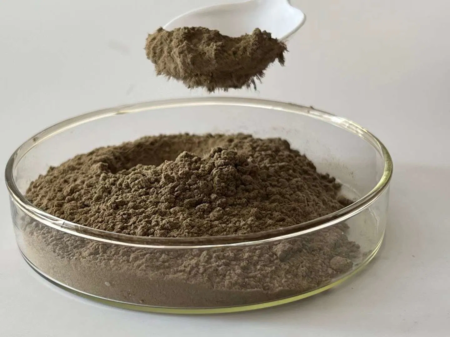 Spongilla powder