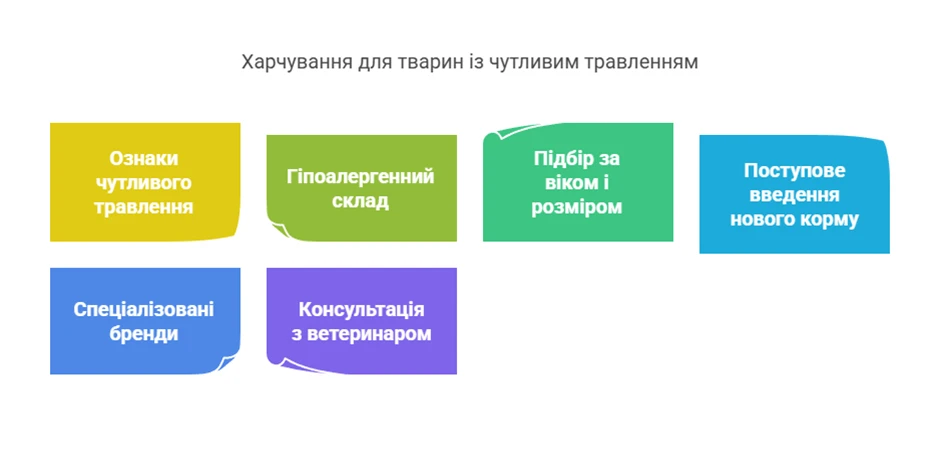 67f3c57d6a6a0.webp