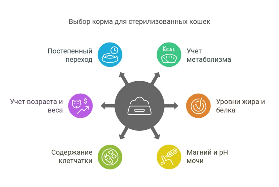 67fd0842efdf3.webp
