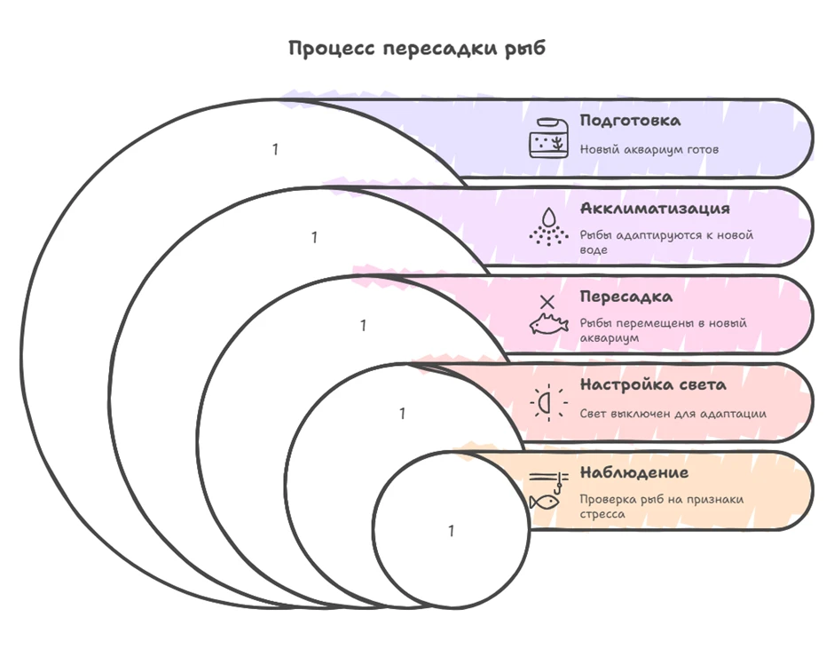 67ffb69952ef9.webp