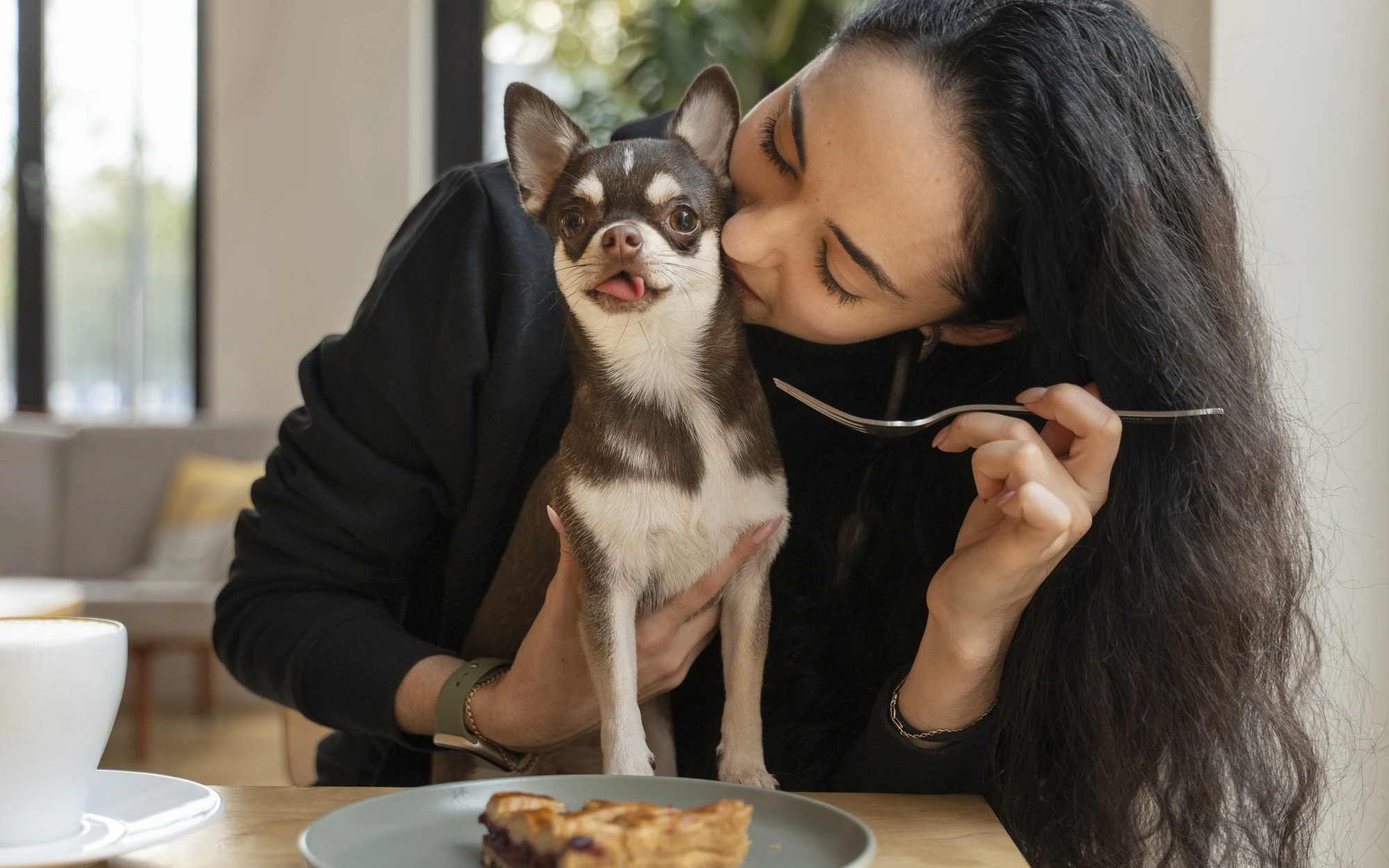 Woman dining with her cute Chihuahua dog at a pet-friendly cafe.