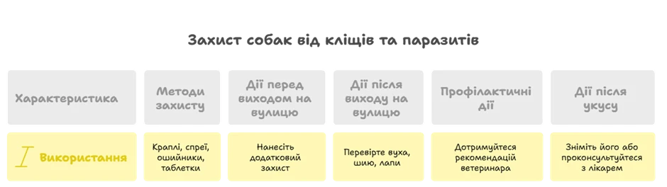 6819ecf37125b.webp